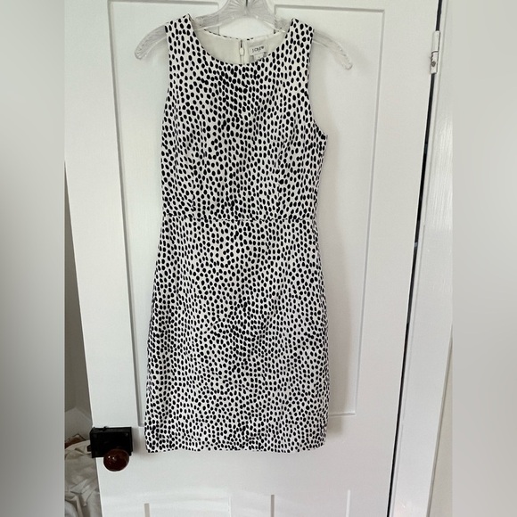 J.Crew Polka Dot Dark Navy Blue White Cotton Classic Knee length dress Size 0 - Picture 3 of 7